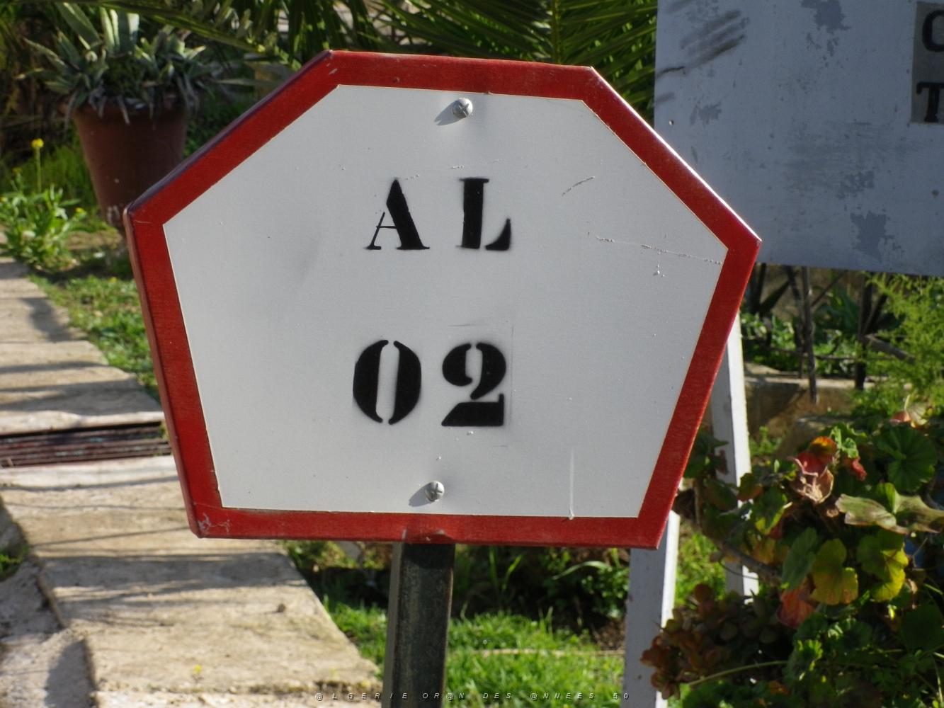 CIMETIERE DE TAMAZOUHET D ORAN EN MARS 2012  (3).JPG